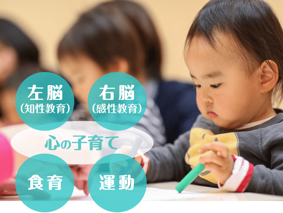 七田式幼児教室の幼児 小学生 英語 胎教コースを紹介